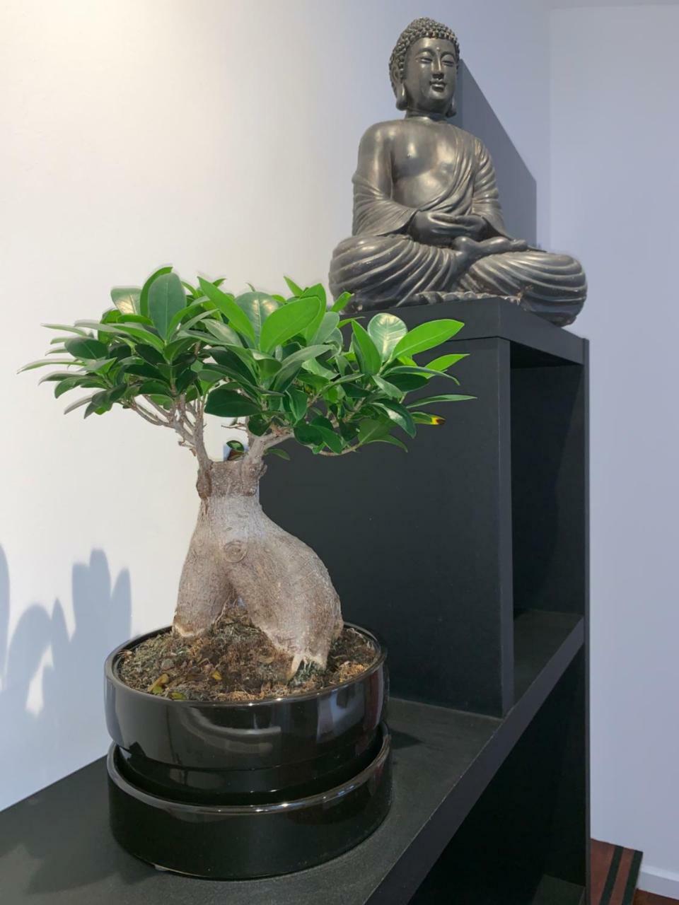 Maison La fleur de sel Anglet Extérieur photo