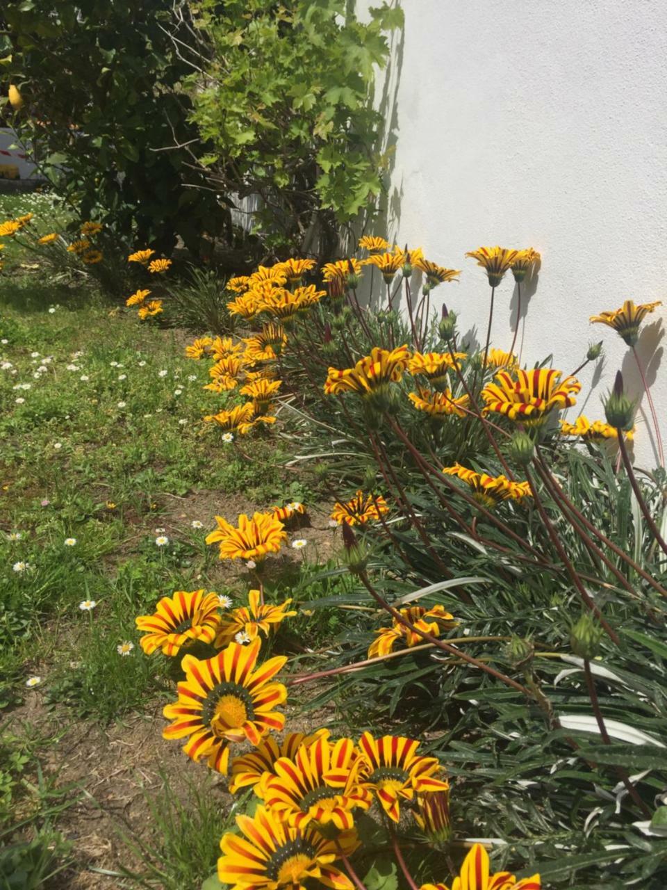 Maison La fleur de sel Anglet Extérieur photo